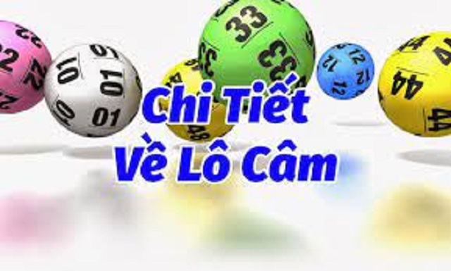 Những kinh nghiệm đáng học hỏi trong cách đánh lô câm