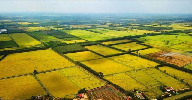 Đa số các giấc mộng thấy mua đất đều được xem là điềm báo lành Đa số các giấc mộng thấy mua đất đều được xem là điềm báo lành