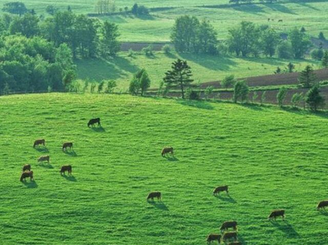 Đánh số gì giúp chủ mơ gặp may mắn khi mộng thấy mua đất Đánh số gì giúp chủ mơ gặp may mắn khi mộng thấy mua đất